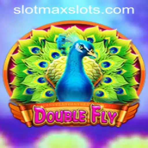 Exploring the Thrills of DoubleFly and SLOTMAX SLOTS